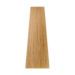 9D Безаміачна фарба-догляд Delyton Advanced, найсвітліший золотистий блонд в Iprof.pro